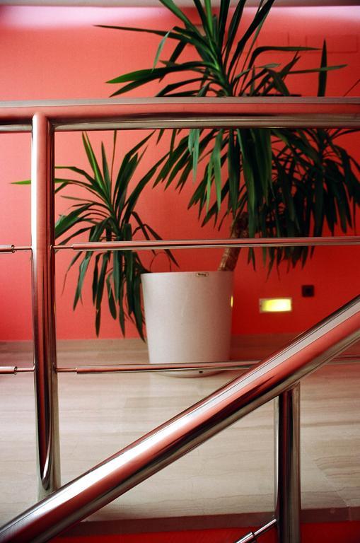 Sercotel San Jose Albacete İç mekan fotoğraf
